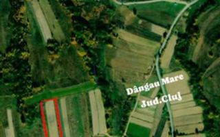 Teren extravilan, 4265 mp, zona Dangau Mare - Poză 1