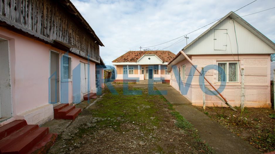 Casa si teren 3365mp Sascut - Poză 2