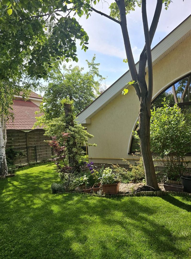 Vila 4 camere 220 mpu - 400 mp teren - Pipera / V Alecsandri - Poză 3