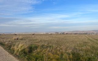 Teren intravilan 8000 mp. Ideal investitie/ Ogorului-Turnisor - Poză 3