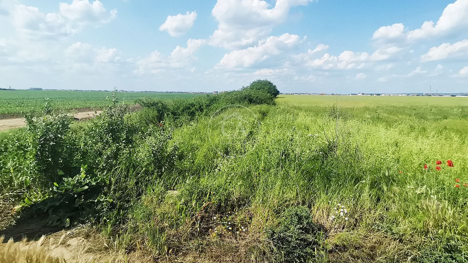 Teren intravilan de vânzare in Santandrei, Bihor - Poză 1