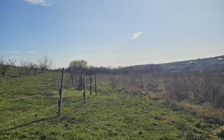 Teren intravilan Saldabagiu de Munte 850 mp - Poză 4
