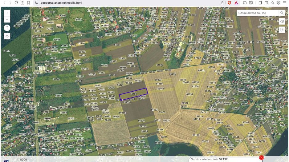 Teren intravilan 18.200 mp Saftica Balotesti - Poză 4