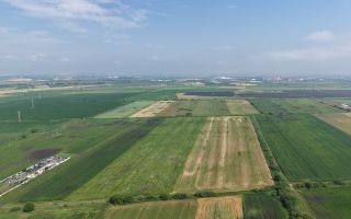 Teren intravilan 52.700 mp, Stupini (Brașov) - Poză 7