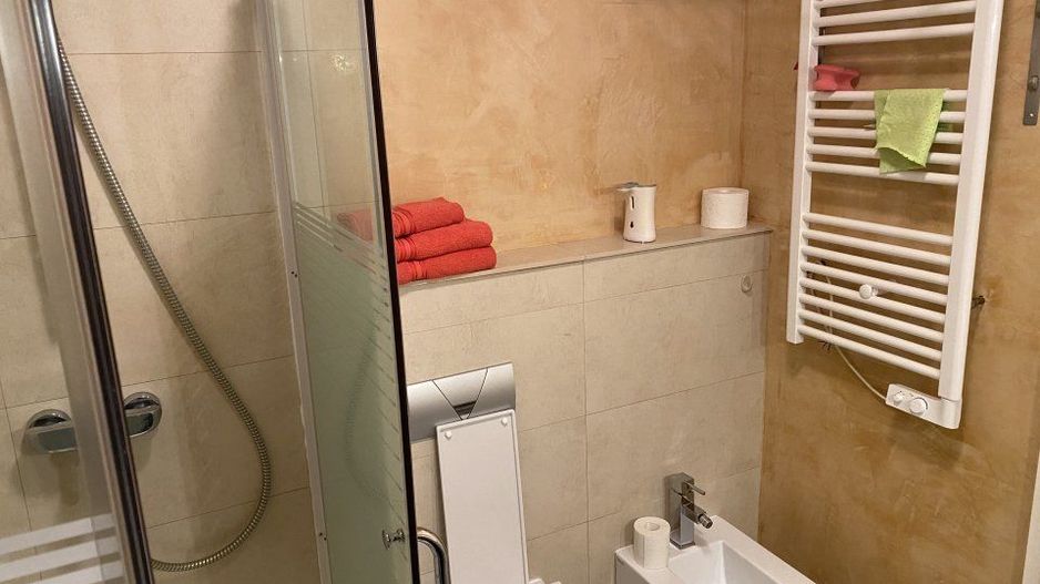 Apartament 2 camere zona Medicina - Poză 12