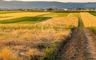 Teren intravilan de vanzare in Alparea, Bihor - Poză 3