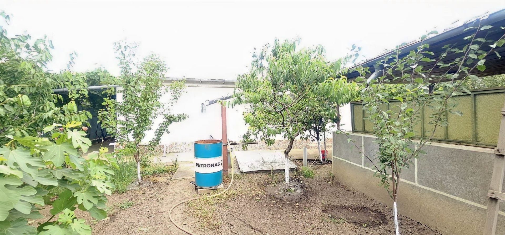 Casa la sol cu teren 1055 mp si livada - Vanatori, Galati - Poză 17