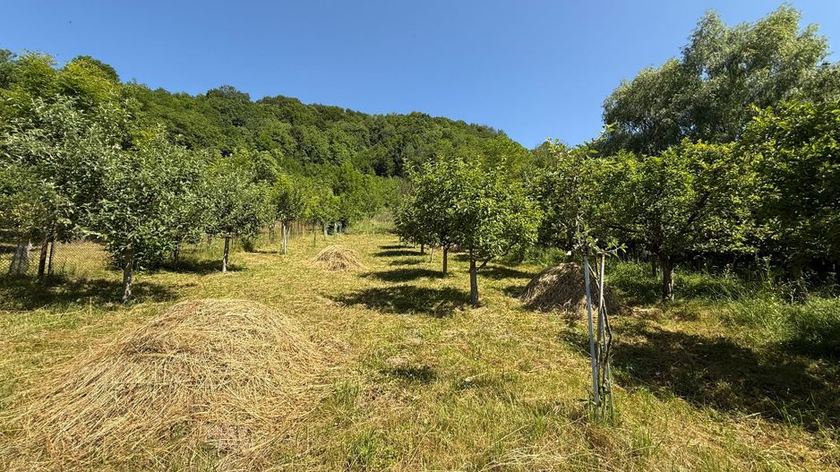 Vanzare casa cu 4 camere+anexe într-o zonă de poveste – Bezdead - Poză 16