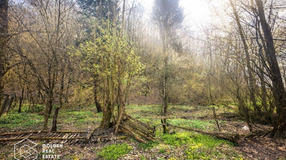 Casă cu teren generos 1.944 mp, Măgulicea, Vârfurile - Poză 17