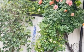 Casa cu 4 camere,237mp,zona strada Lunga - Poză 13