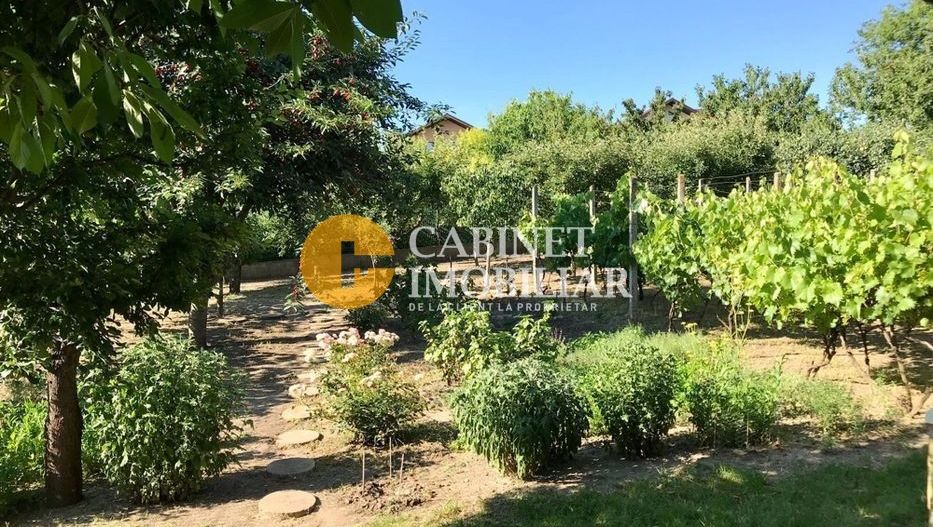 Proprietate deosebită în Aroneanu – 2 case pe teren generos de 1209 mp - Poză 5