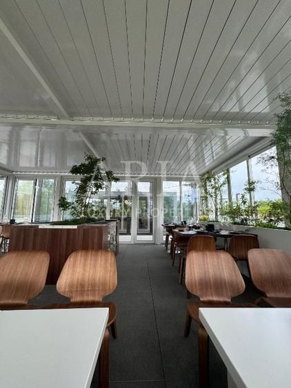 Commercial space | Restaurant | Terasa | Parking - Poză 8