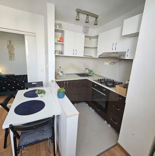 Apartament 2 camere de închiriat Piața Unirii – Magazin Cocor | Ultracentral - Poză 4