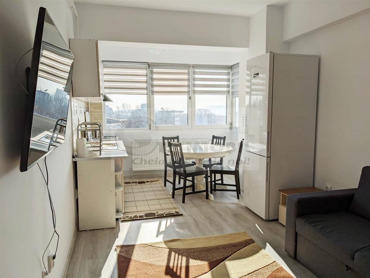 AP 2 CAM NOU TUDOR OANCEA TATARASI - Poză 2