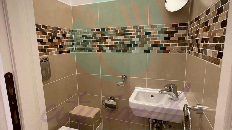 Locuinta BOEMA situata intre PARCUL CAROL SI PIATA UNIRII - Poză 13