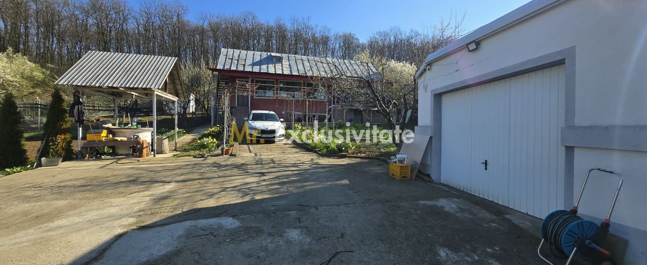 Casă P+M cu 1.558 mp teren, livadă și garaj - Poză 30