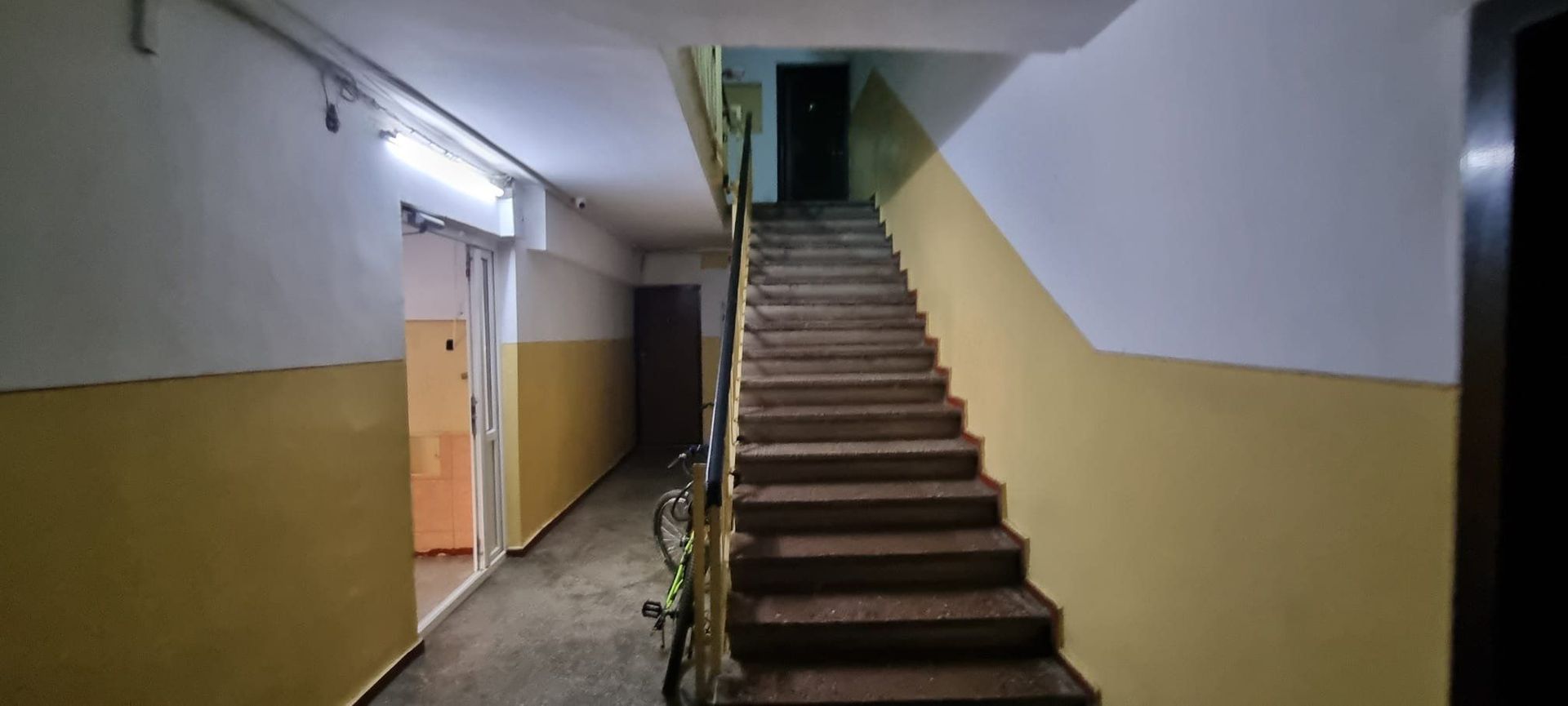 Timisoara Profii - Poză 5