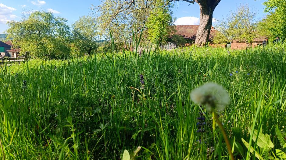 Descoperă căsuța ta de vis la poalele Munților Apuseni - Poză 17