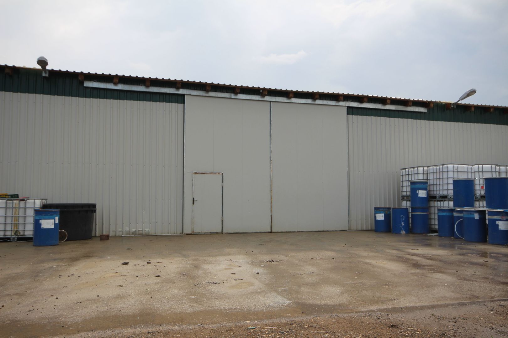 Ferma pomicola cu teren livada 270 ha - Timis - Poză 9