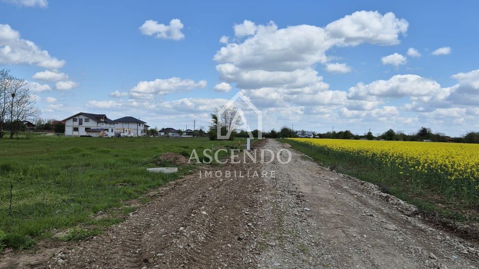 Teren intravilan 704 mp – Siliștea Snagovului | Lângă Pădurea Snagov - Poză 3