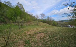 Teren intravilan 1454 mp la marginea padurii zona locuita de case! - Poză 7