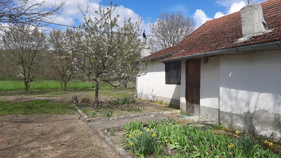 Casă cu teren generos la Bodo - Poză 6