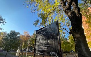 Apartament  3 camere** Bloc reabilitat  termic//Metrou Piata Iancului - Poză 20