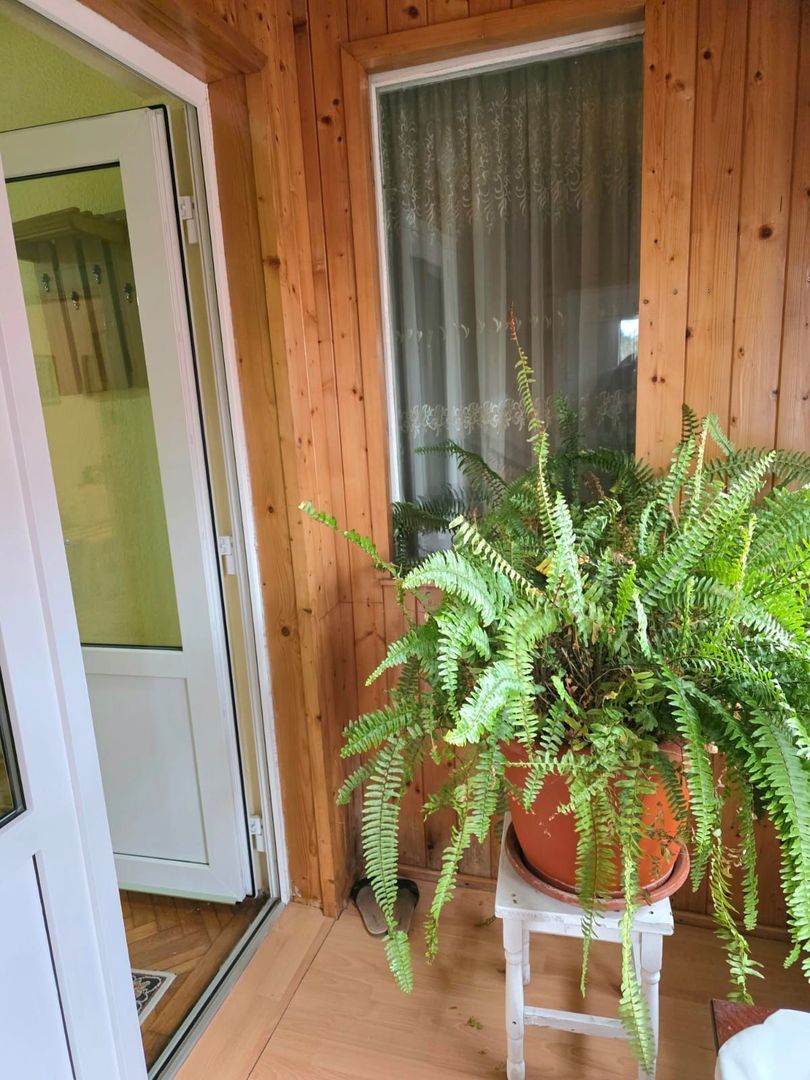 DE VANZARE CASA 5CAMERE ZONA CENTRALA TALMACIU - Poză 25