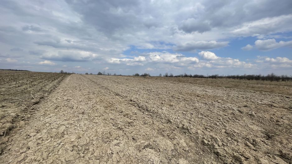 TEREN EXTRAVILAN | 23 ARI | HORODNIC DE SUS - Poză 2