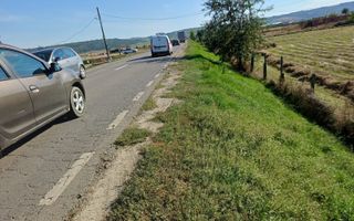 Teren intravilan 1 ha de vânzare în comuna Țigănași, la 22 km de Iași, zona Carniceni - Poză 4