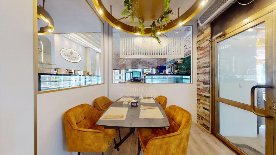 Spatiu comercial cu teren Arcul de Triumf - Poză 7