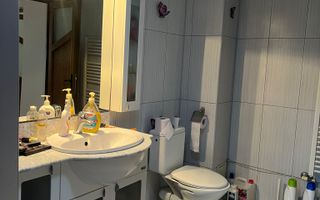 Vila S+P+1+M Lapus, str Paunitei - Poză 45