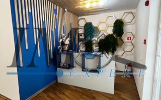 Casa - Pensiune de vânzare pe Transalpina in Sugag - Poză 2