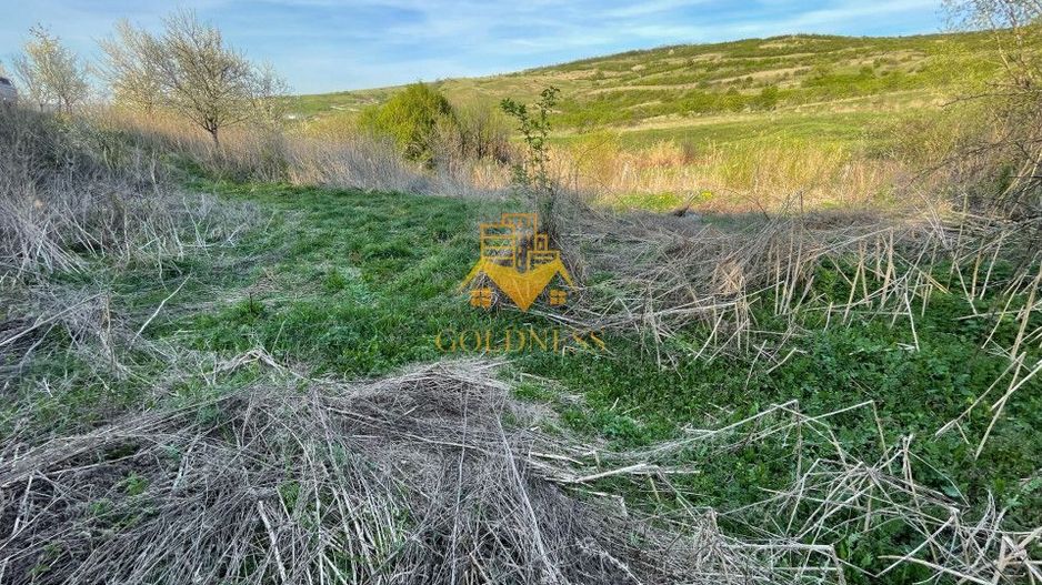 Tren Soporului Intravilan ,5500 MP Utilitati,  Oportunitate - Poză 9