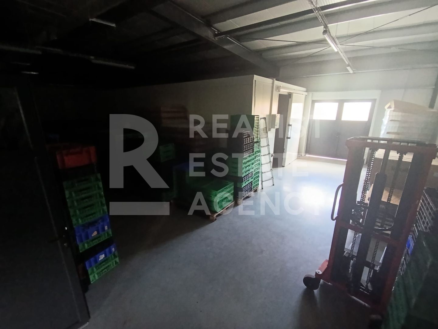 Spațiu comercial, producere+plantație de aronie, Timiș - Poză 9