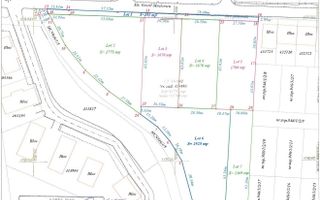 🗺️ Teren intravilan cu suprafața 2.775 mp – în Braytim, Timișoara! ✨ - Poză 3