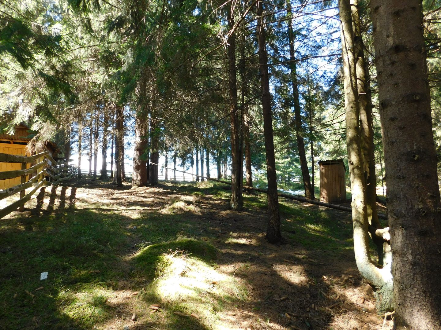 Casă de vacanta de vanzare, in Marisel, langa Cabana Motilor - Poză 18