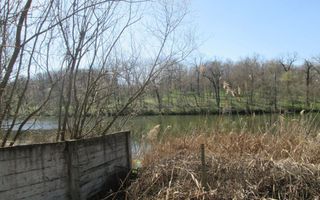 Vand Vila si teren cu deschidere la lac (5128mp) - Poză 9