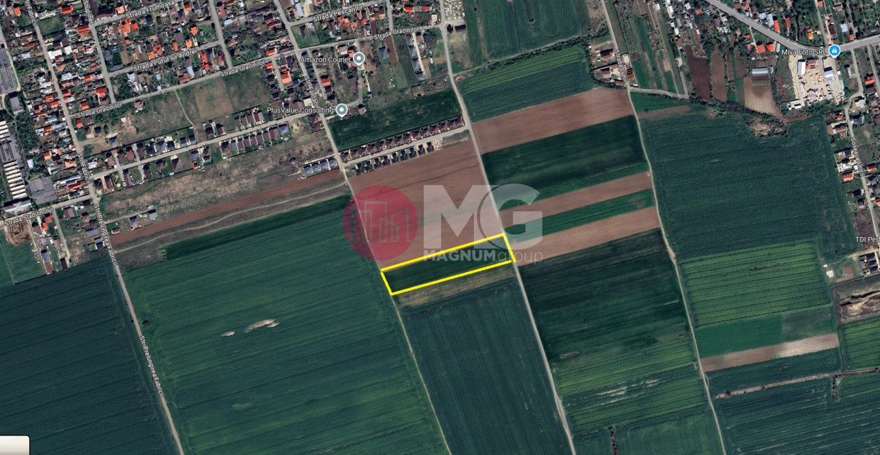 teren de vanzare Balotesti - spate Therme - Poză 3