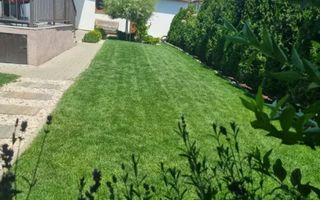 Casa pe un nivel, 3 camere, teren 370 mp, Sancraiu de Mures - Poză 7