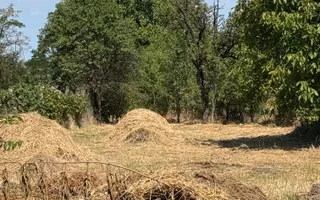 Casa 3 camere, beci ,teren 610 mp + grădină 620 mp-Loc. Cuciulata - Poză 16