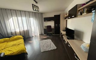 Apartament 2 camere- Brazda - Poză 10