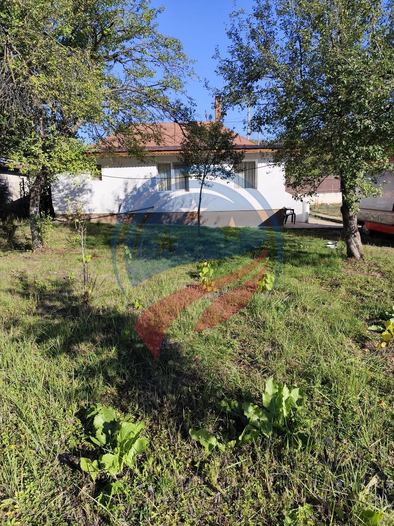 Casa cocheta la 30 minute de Craiova- Cornița Dolj - Poză 14