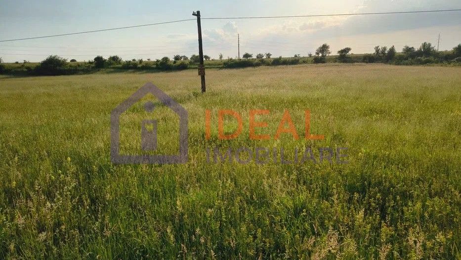 Teren extravilan de vânzare | Cârțișoara | 1800 mp - Poză 3