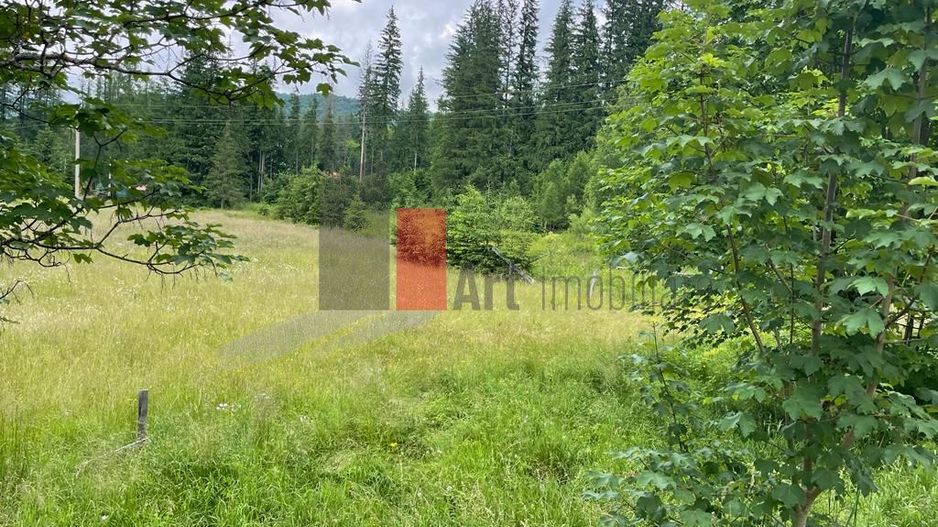 Teren statiunea Cheia, zona centrala - Poză 3