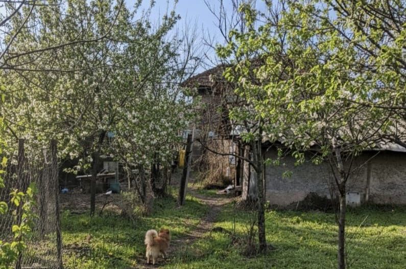 Casa P+Beci + 1.451 mp Teren ( Toate utilitatile)  – Langă Profi/Pepco - Poză 6