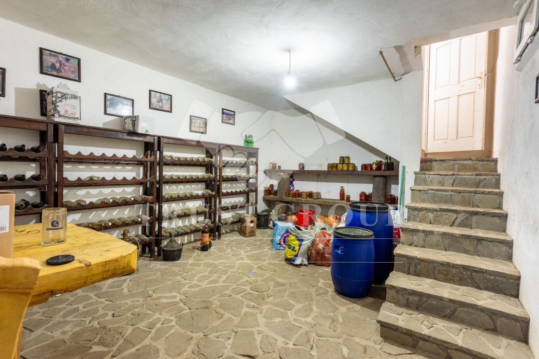 Oportunitate Rară – Vilă pe Malul Lacului Snagov | Piscina | Ponton | COMISION 0 - Poză 58