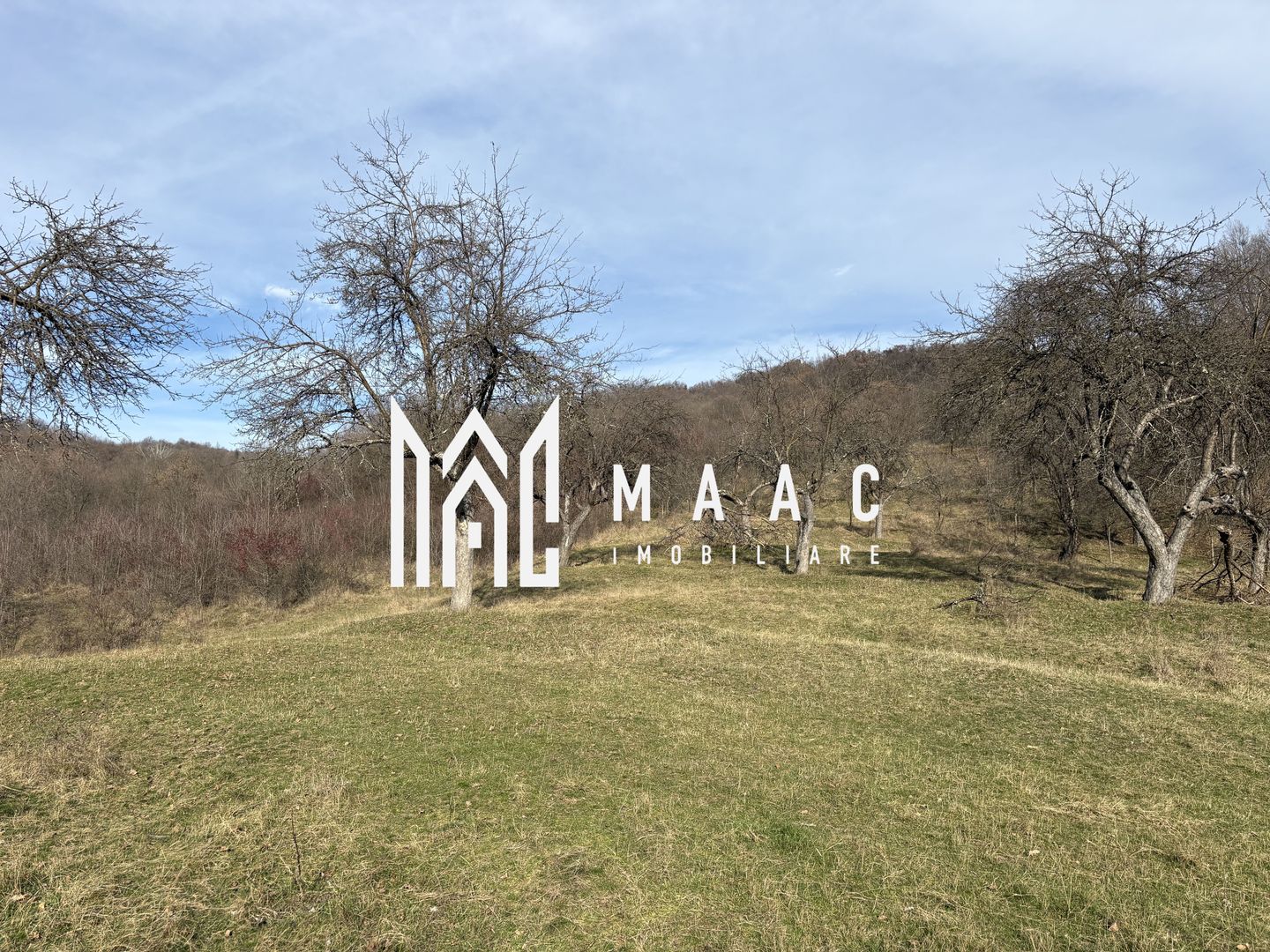 Teren  extravilan I 5300 mpI  Salatrucel -Calimanesti - Poză 2