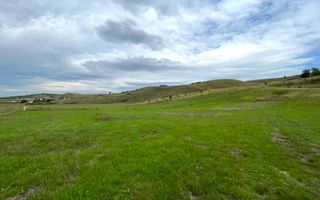 Teren de vanzare in Ciugud, 4200MP, Priveliste, Padure - Poză 3