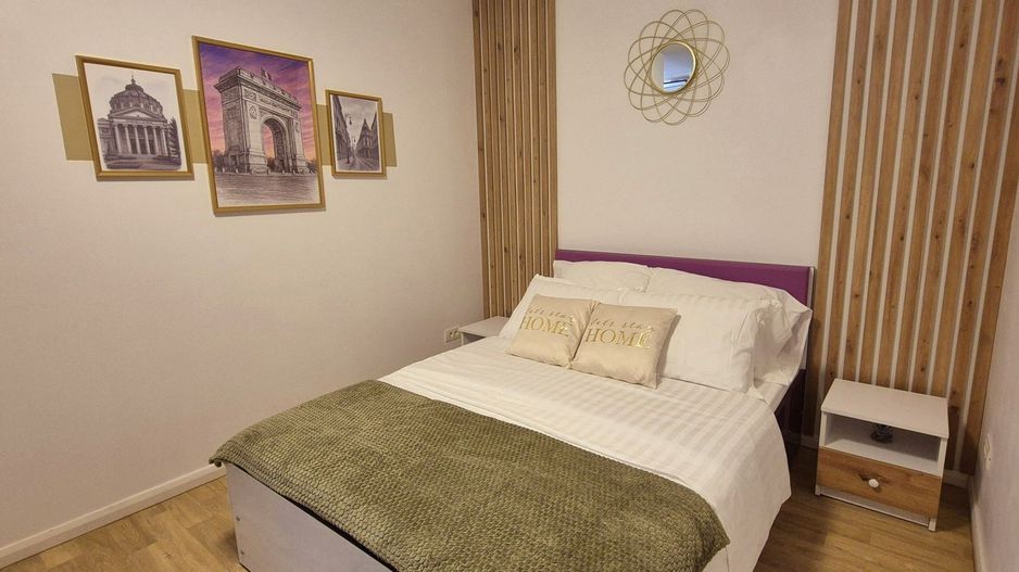 STUDIO | DIMITRIE POMPEIU | PIPERA | PET-FRIENDLY - Poză 1